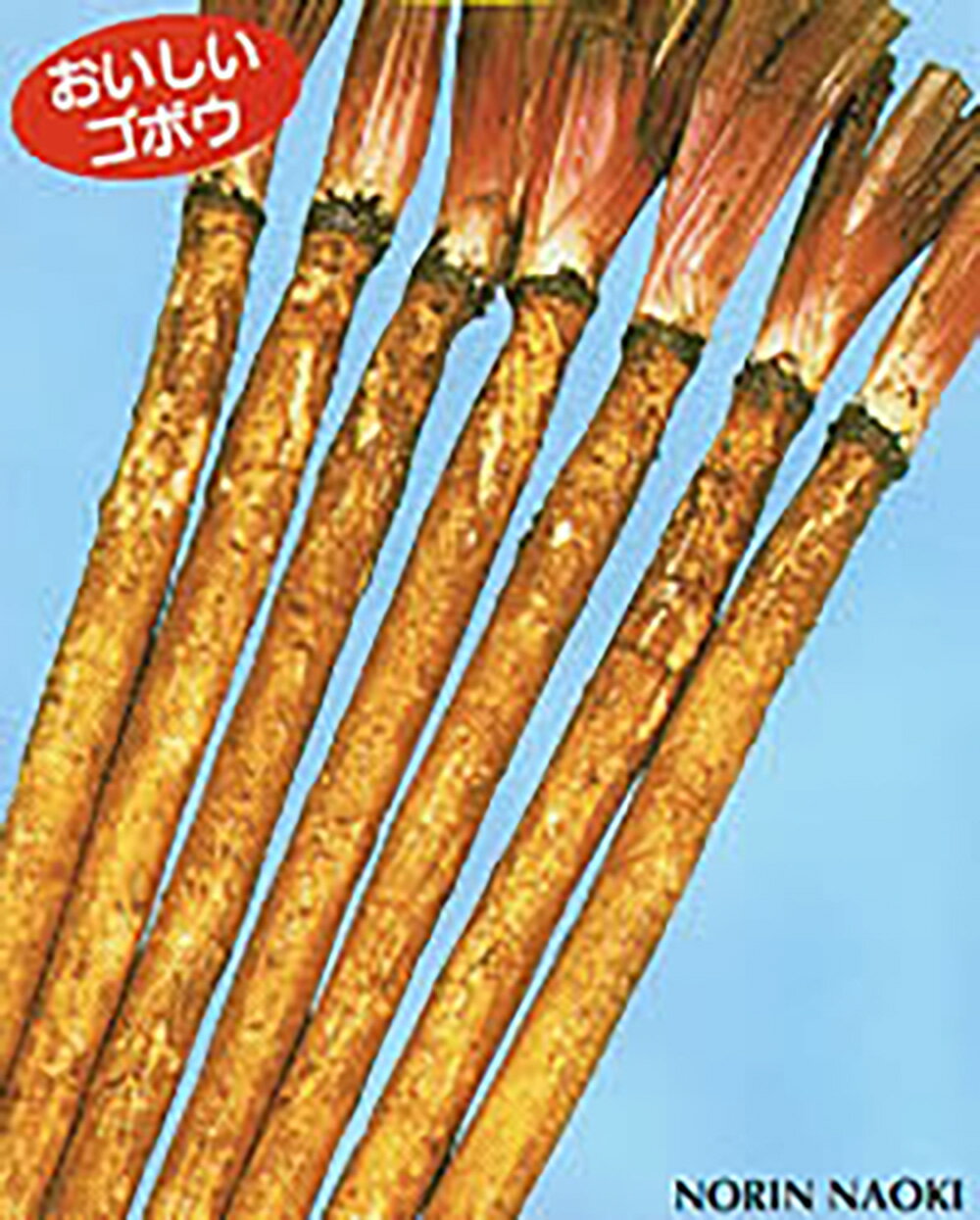 ノウリン 直輝 キダネ 2dl 牛蒡 ゴボウ ごぼう【日本農林社 種 たね タネ 】【通常5倍 5のつく日はポイント10倍】