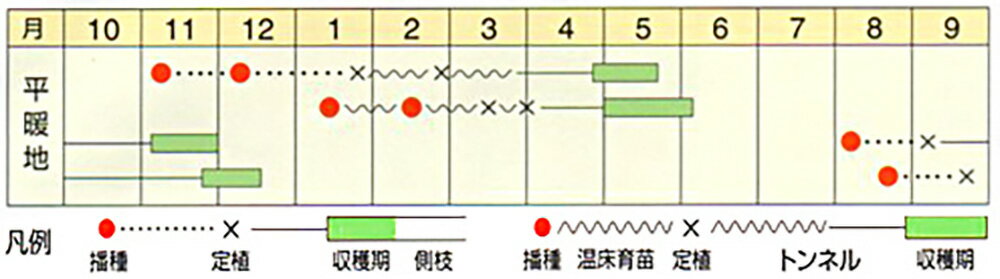 N-157 10ml �֥��å��꡼�����μ�� �� ���� ���� �ۡ��̾�5�� 5�ΤĤ����ϥݥ����10�ܡ�