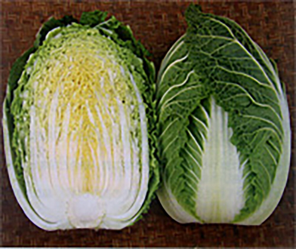 �����ȼ�� �ߤη� L5(5000γ) ��� �ϥ����� �Ϥ����������μ�� �� ���� ���� �ۡ��̾�5�� 5�ΤĤ����ϥݥ����10�ܡ�