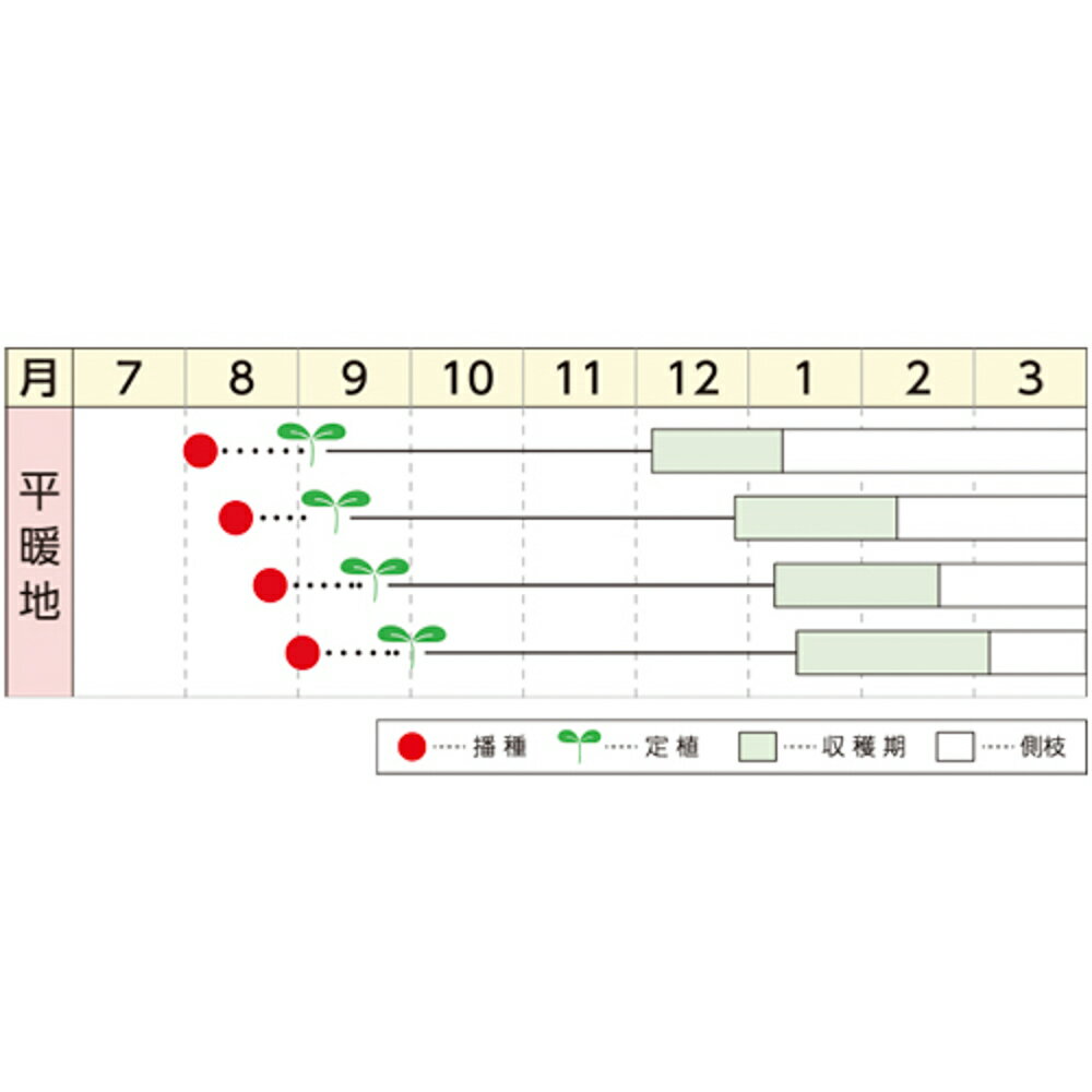 磯緑 10ml ブロッコリー【野崎採種場 種 たね タネ 】【通常5倍 5のつく日はポイン...