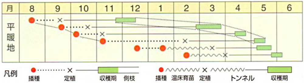 �η� 2500γ ����ե������μ�� �� ���� ���� �ۡ��̾�5�� 5�ΤĤ����ϥݥ����10�ܡ�