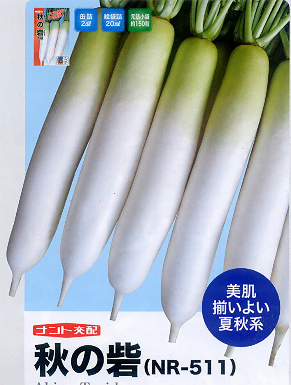樂天商城 - 秋の砦 8000粒 大根 ダイコン だいこん【ナント 種 たね タネ】【通常5倍 5のつく日はポイント10倍】
