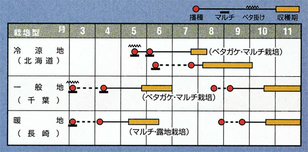 *������¢ 3L������5000γ�� �纬 �������� ��������ڥʥ�� �� ���� ���ۡ͡��̾�5�� 5�ΤĤ����ϥݥ����10�ܡ�