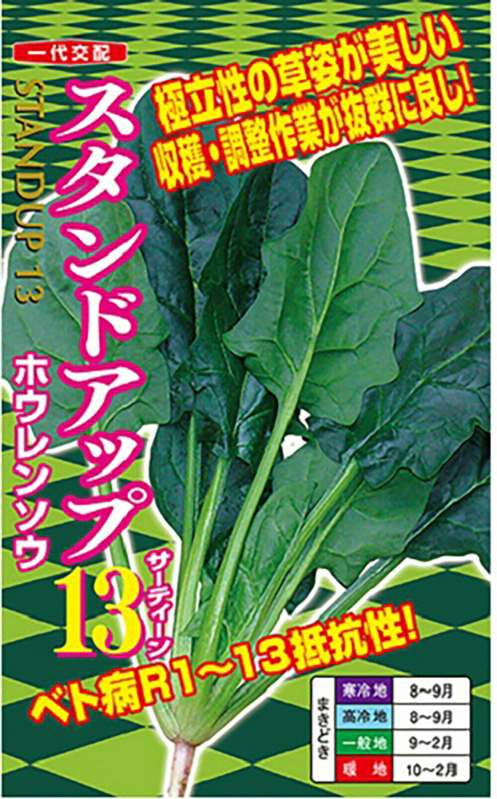 樂天商城 - スタンドアップ13 PRM3万粒 ほうれん草 法蓮草 ホウレンソウ ほうれんそう【ナント 種 たね タネ】【通常5倍 5のつく日はポイント10倍】