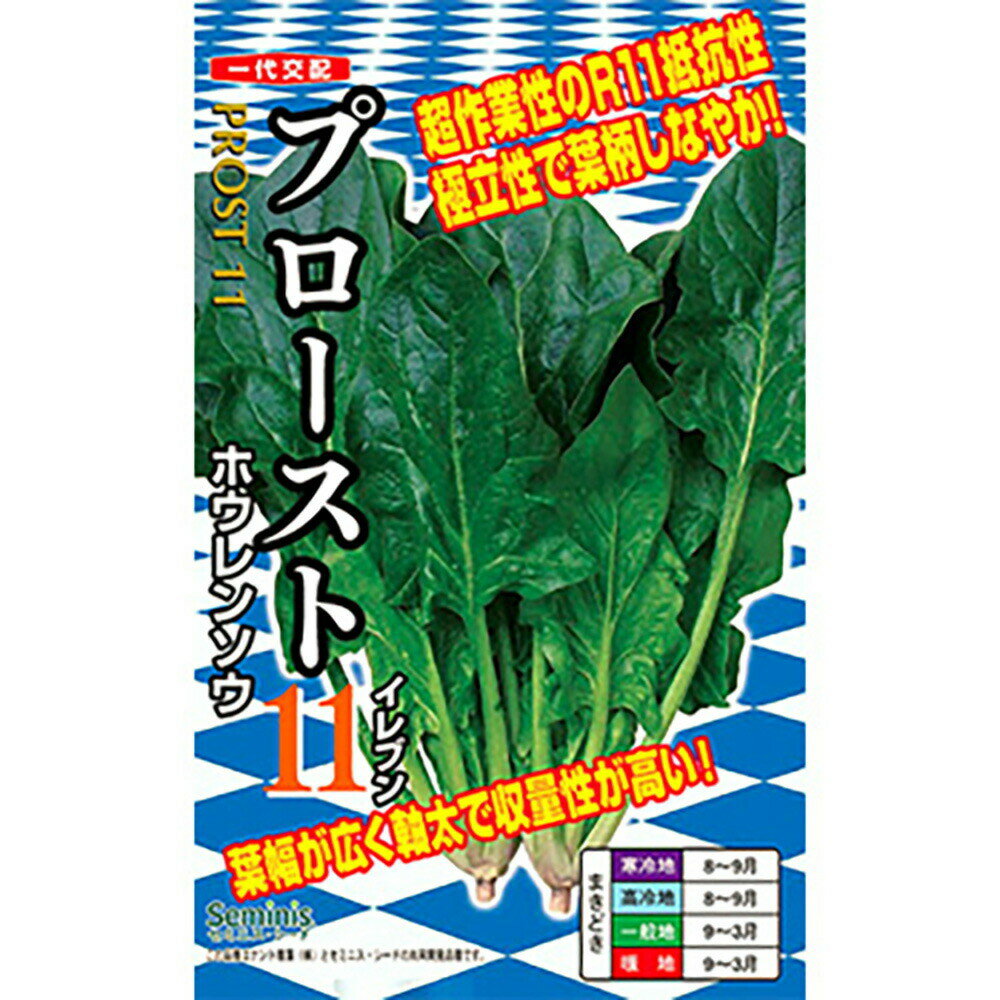 プロースト11 PRM3万粒 ほうれん草 法蓮草 ホウレンソウ ほうれんそう【ナント 種 たね タネ】【通常5..