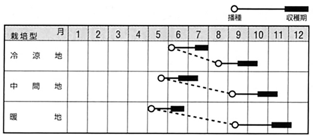 ���� �� (�ա��ʤ� �ʤ�)���󥲥󥵥� 2dl �Ĺ��� ���󥲥�� ���󥲥󥵥� ���󤲤󤵤��ڥʥ�� �� ���� ���ۡ͡��̾�5�� 5�ΤĤ����ϥݥ����10�ܡ�