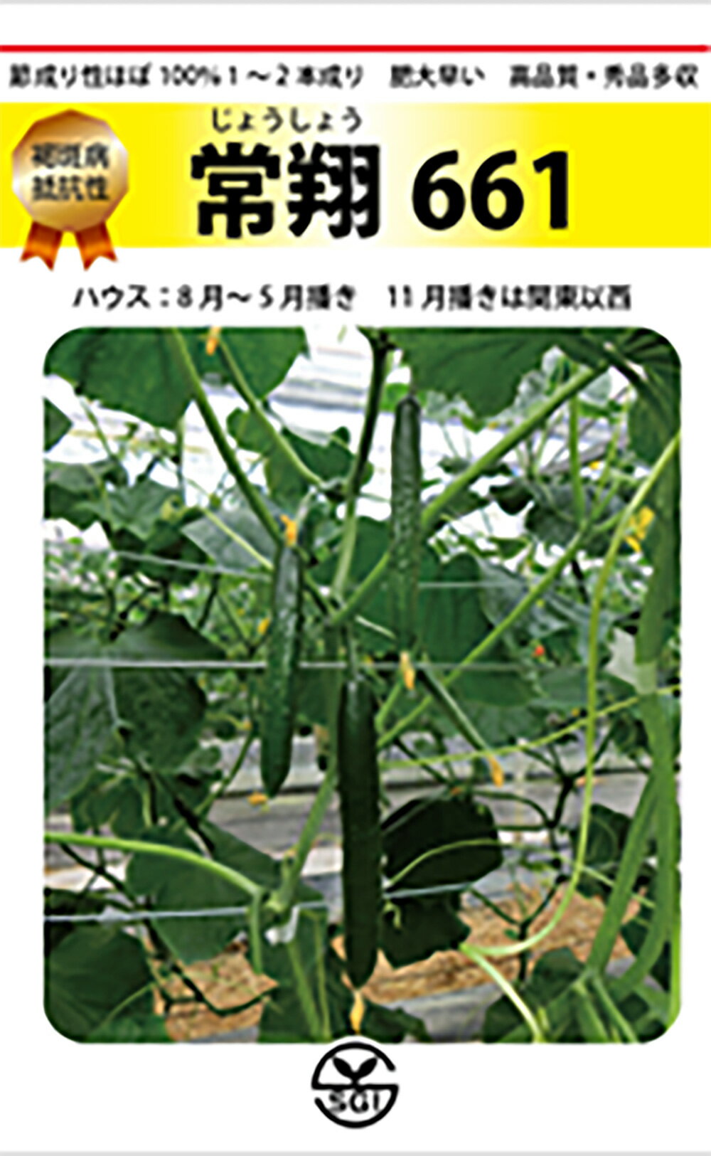 常翔(じょうしょう)661 350粒 胡瓜 キュウリ きゅうり【シード 種 たね タネ 】【通常5倍 5のつく日はポイント10倍】