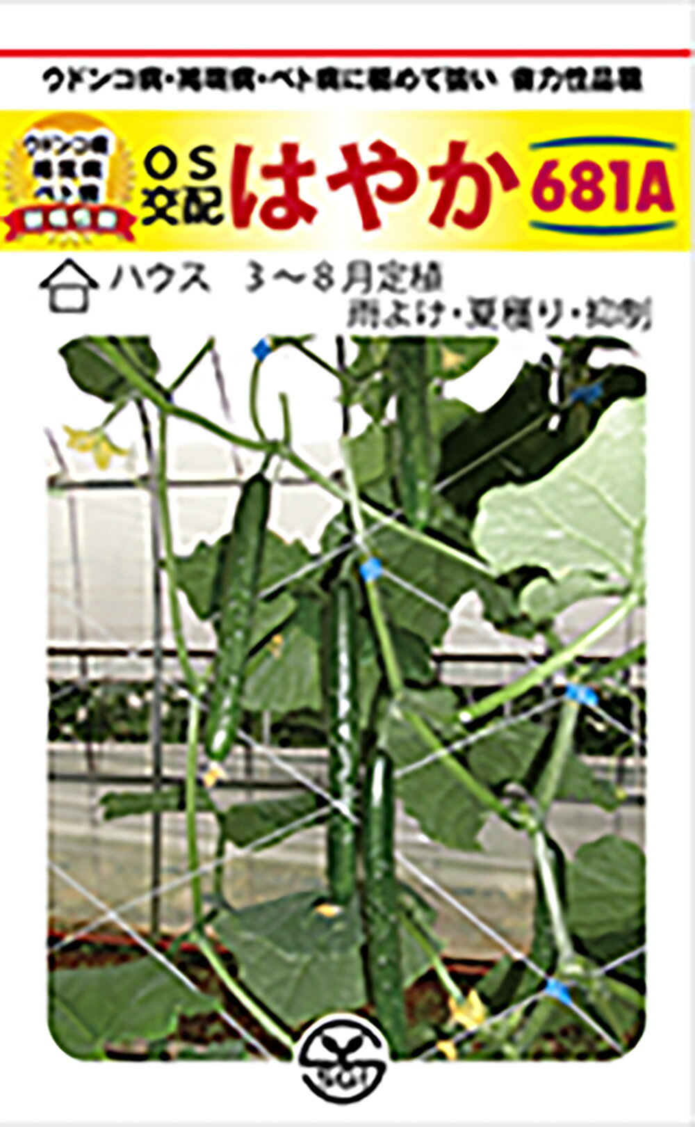 Rakuten - はやか(681-A) 350粒 胡瓜 キュウリ きゅうり【シード 種 たね タネ 】【通常5倍 5のつく日はポイント10倍】