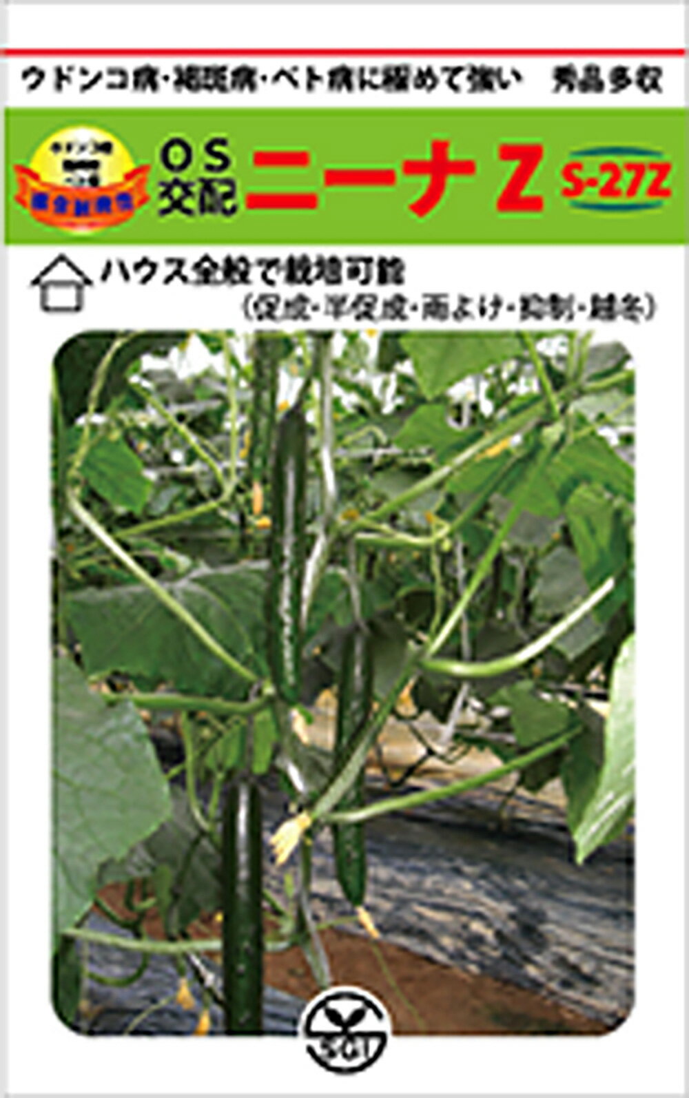 ニーナZ 350粒 胡瓜 キュウリ きゅうり【シード 種 たね タネ 】【通常5倍 5のつく日はポイント10倍】のサムネイル