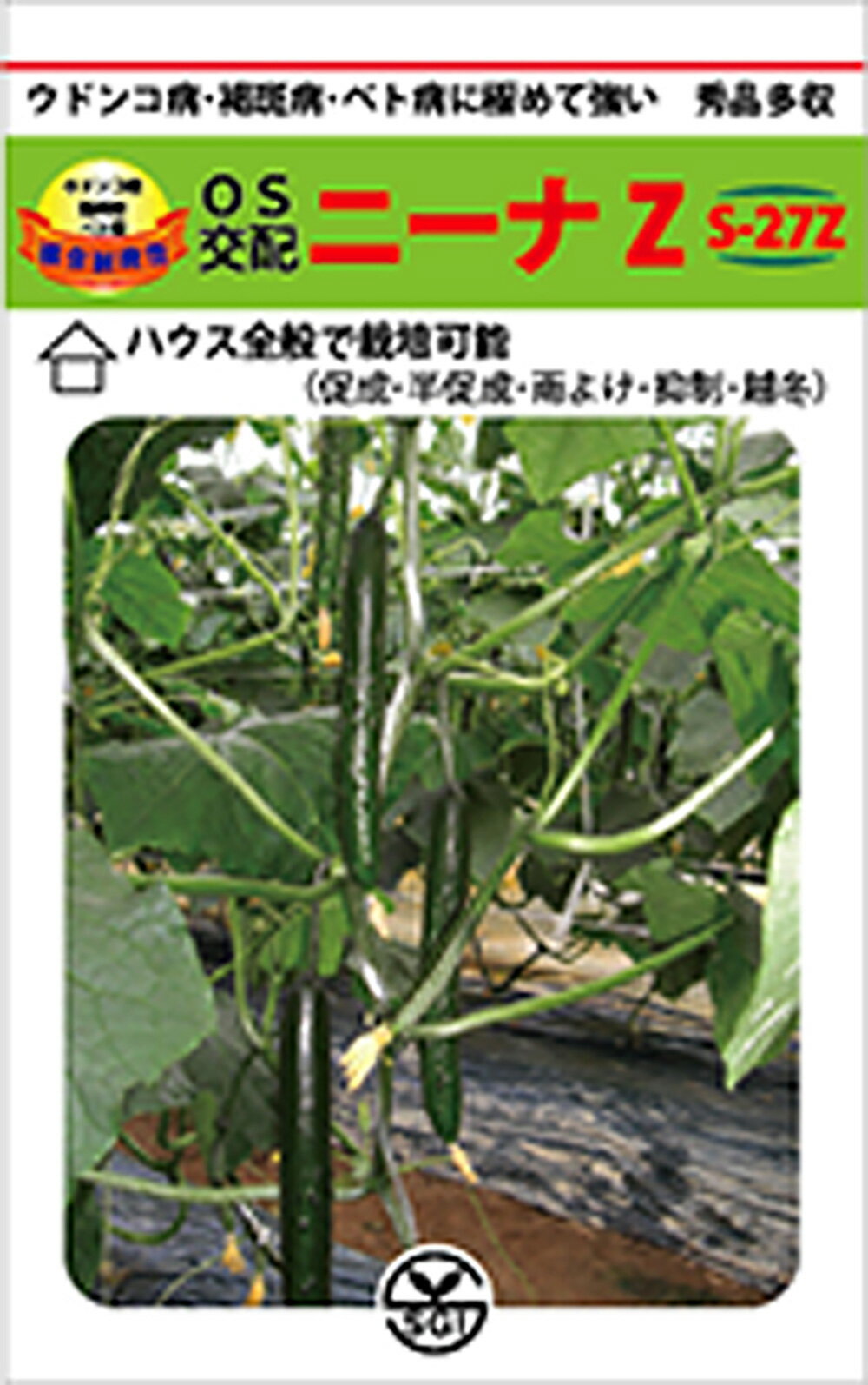 タキイ種苗 ソラマメ 仁徳一寸 1L