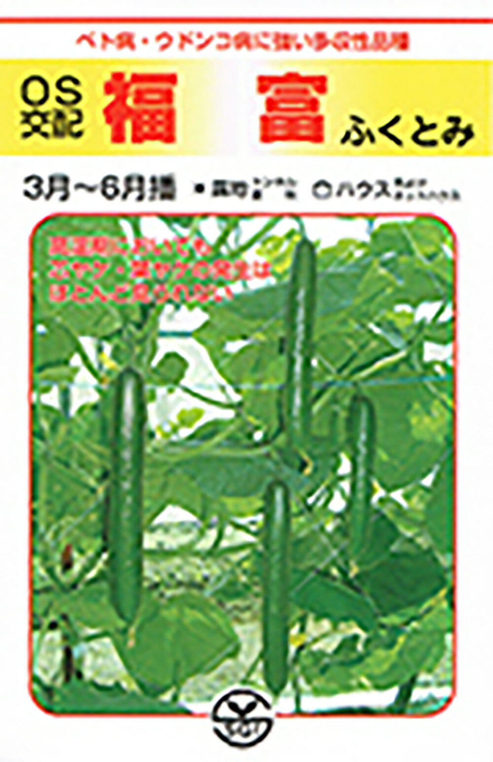 福富(OF101) 350粒 胡瓜 キュウリ きゅうり【シード 種 たね タネ 】【通常5倍 5のつく日はポイント10倍】