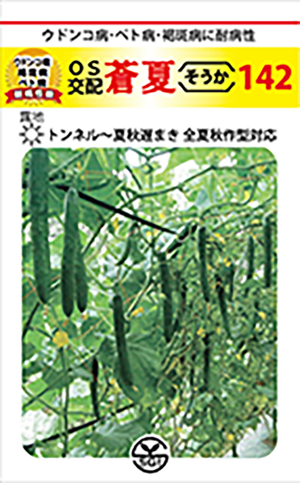 蒼夏(そうか)142 350粒 胡瓜 キュウリ きゅうり【シード 種 たね タネ 】【通常5倍 5のつく日はポイント10倍】