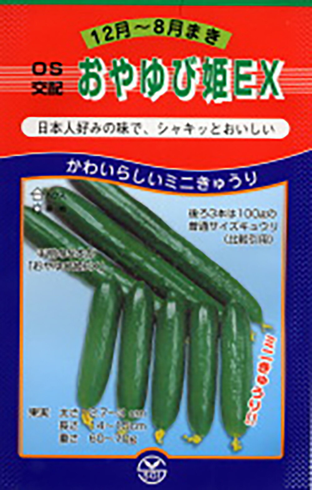 樂天商城 - ミニおやゆび姫EX 100粒 胡瓜 キュウリ きゅうり【シード 種 たね タネ 】【通常5倍 5のつく日はポイント10倍】