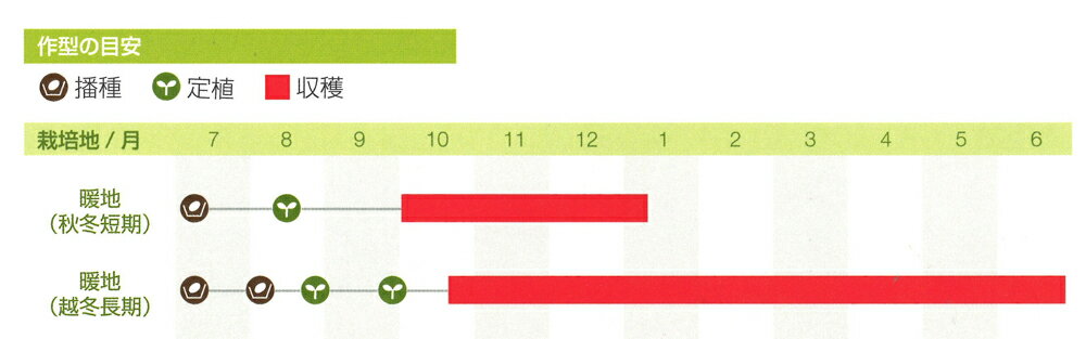 �ȥޥ� TY�ʤ�ߥץ饤�� 1000γ �ȥޥ� �Ȥޤ� �ٲءڥ��󥸥��� ?�� ���� ���ۡ͡��̾�5�� 5�ΤĤ����ϥݥ����10���оݳ����ʥݥ����3�ܸ��꾦�ʡ�