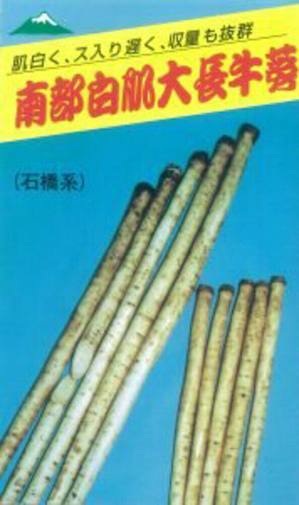 樂天商城 - 南部白肌大長牛蒡 1dl詰 牛蒡 ゴボウ ごぼう【佐藤政行種苗 種 たね タネ】【通常5倍 5のつく日はポイント10倍】