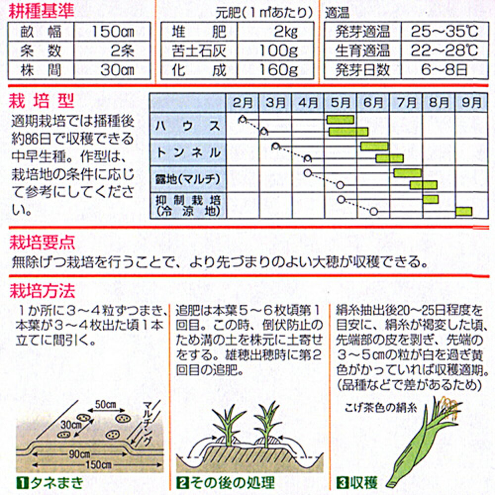 とうもろこし 恵味86 2000粒 とうもろこし トウモロコシ 玉蜀黍 【清水種苗 種 た...