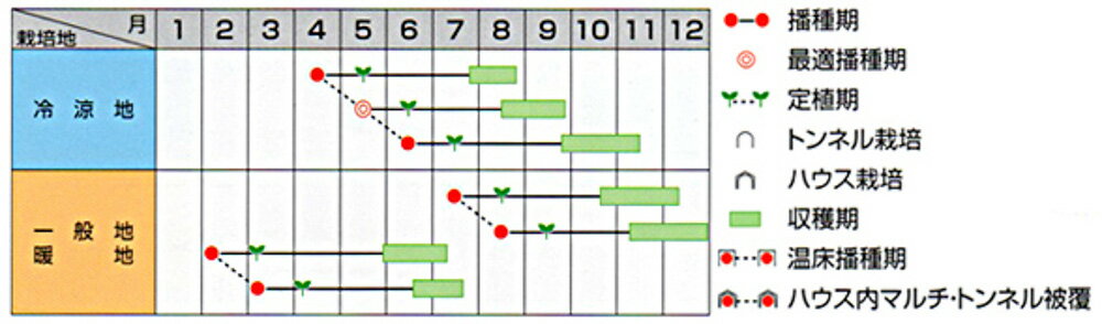 ���� PVP 2000γ ����٥ġڥ����� �� ���� ���ۡ͡��̾�5�� 5�ΤĤ����ϥݥ����10�ܡ�