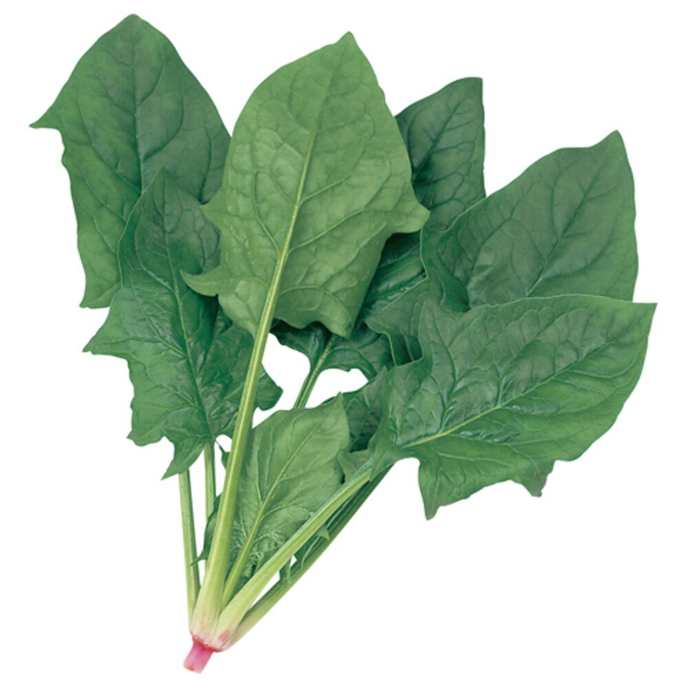 PRIMAX アグレッシブ 法蓮草 M3万粒 ほうれん草 法蓮草 ホウレンソウ ほうれんそう【サカタ 種 たね タ..