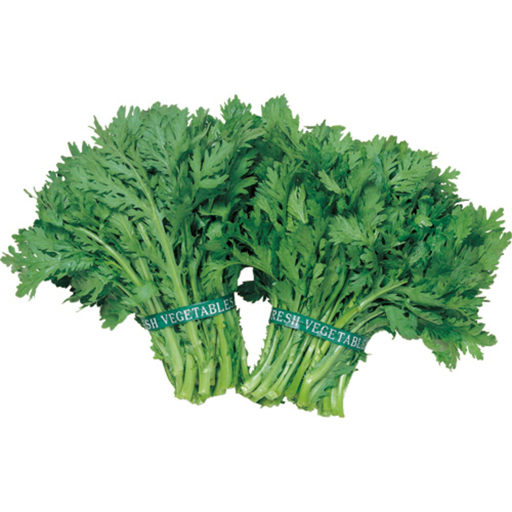 樂天商城 - さとゆたか中葉春菊 1L 春菊 しゅんぎく シュンギク【サカタ 種 たね タネ】【通常5倍 5のつく日はポイント10倍】