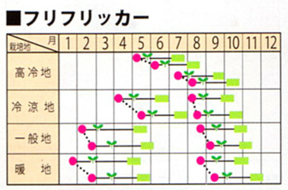 ペレット フリフリッカー レタス PVP ペレット5千粒 レタス【サカタ 種 たね タネ...