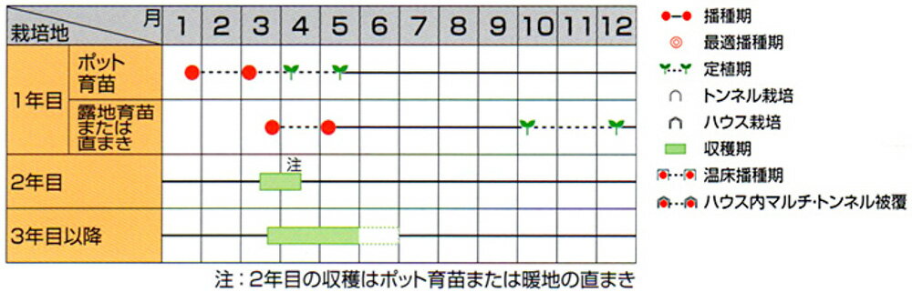 ウェルカム PVP アスパラガス 1dl アスパラガス【サカタ 種 たね タネ】【通常5倍 ...