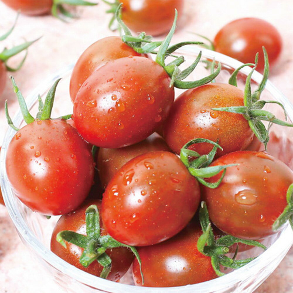 PRIMAX ジーナ ミニトマト PRIMAX100粒 トマト とまと 蕃茄