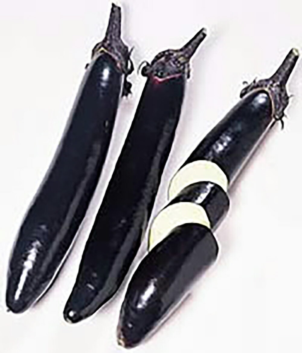 樂天商城 - 飛天長茄子 20ml ナス なす 茄子【サカタ 種 たね タネ】【通常5倍 5のつく日はポイント10倍】