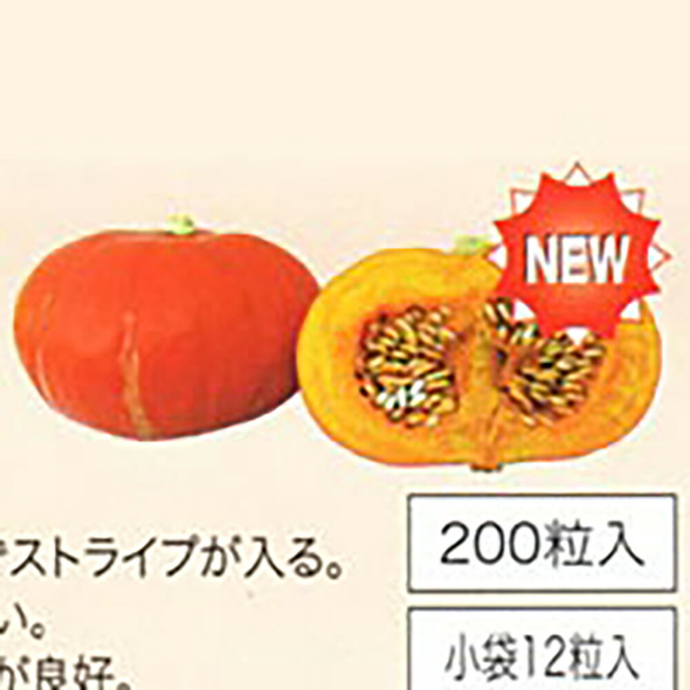 べにくり南瓜 PVP 200粒 南瓜 カボチャ かぼちゃ【サカタ 種 たね タネ】【通常5倍 5のつく日はポイント10倍】