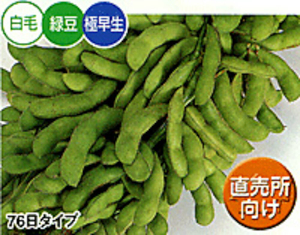 天ヶ峰枝豆 1L袋 枝豆 えだまめ エダマメ【サカタ 種 たね タネ】【通常5倍 5のつく日はポイント10倍】