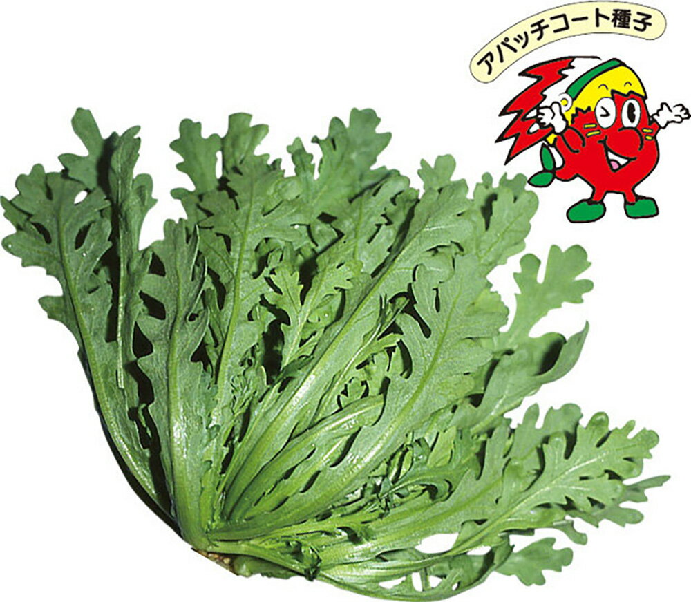 ���ѥå�S������ ����ĥ���սյ�NW 5��γ �յ� ����󤮤� ����󥮥��ڻ��ۼ��� �� ���� ���� �ۡ��̾�5�� 5�ΤĤ����ϥݥ����10�ܡ�