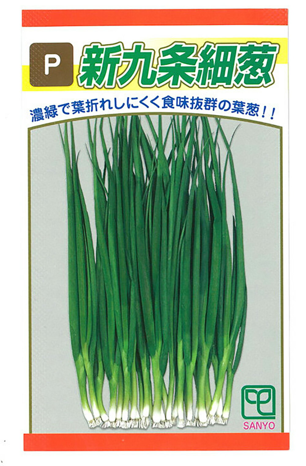山陽育成 新九条細葱 1l 葱 ネギ ねぎ【山陽種苗 種 たね タネ 】【通常5倍 5のつ...