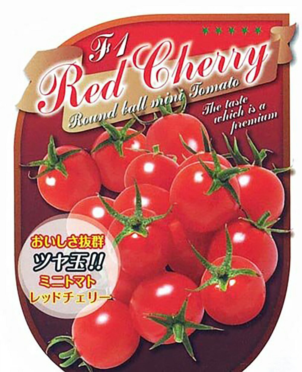 ��åɥ����꡼(�ݥߥ�) 1000γ �ȥޥ� �Ȥޤ� �ٲ� ���۸��� �ڻ��ۼ��� �� ���� ���� �ۡ��̾�5�� 5�ΤĤ����ϥݥ����10�ܡ�