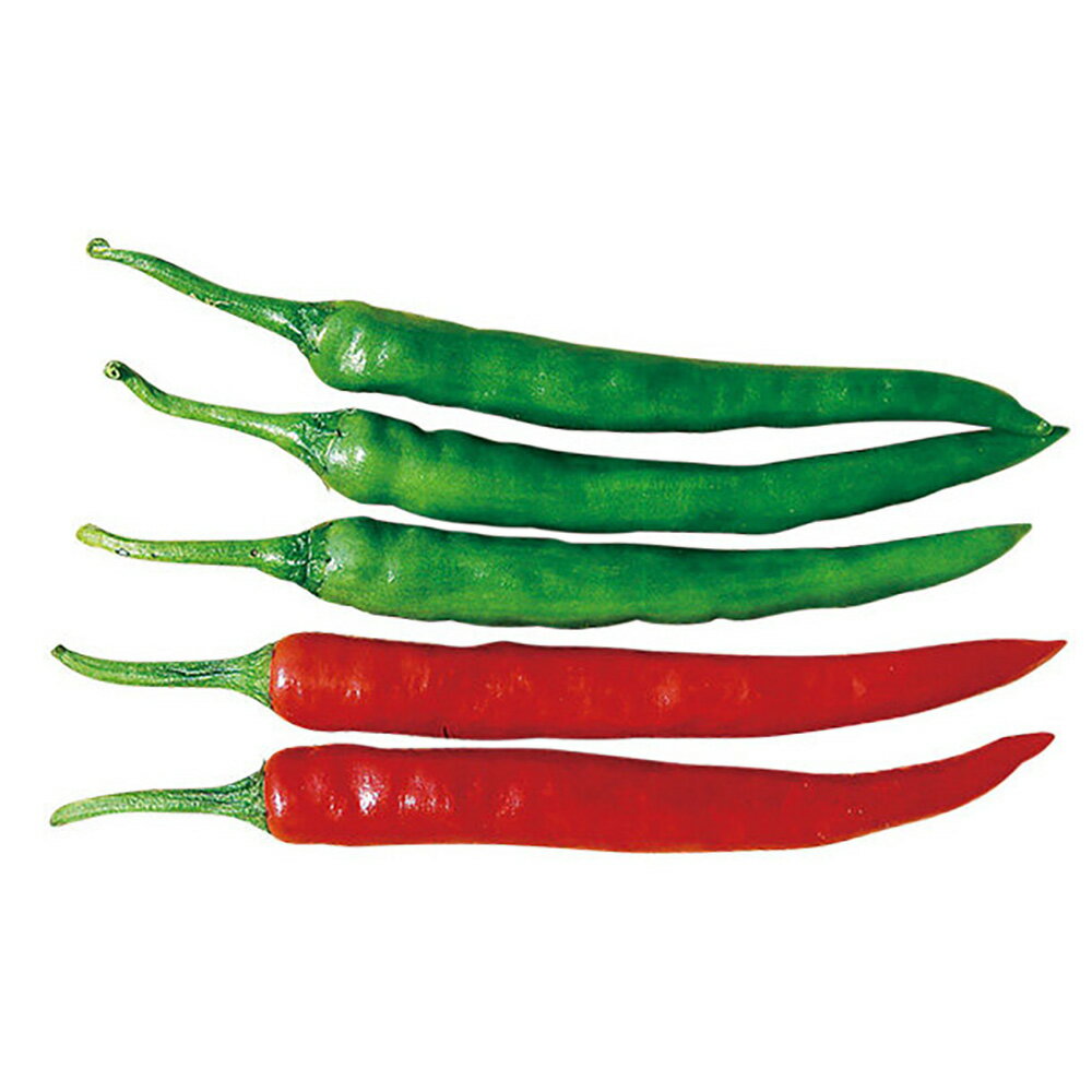 f1 キムチとうがらし 辛味種 500粒 唐辛子 とうがらし トウガラシ【山陽種苗 種 たね タネ 】【通常5倍..