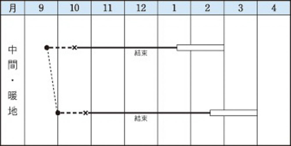 ほまれ二号白菜(とき) タキイ交配 20ml 白菜 ハクサイ はくさい【タキイ 種 たね タネ】【通常5倍 5のつく日はポイント10倍】