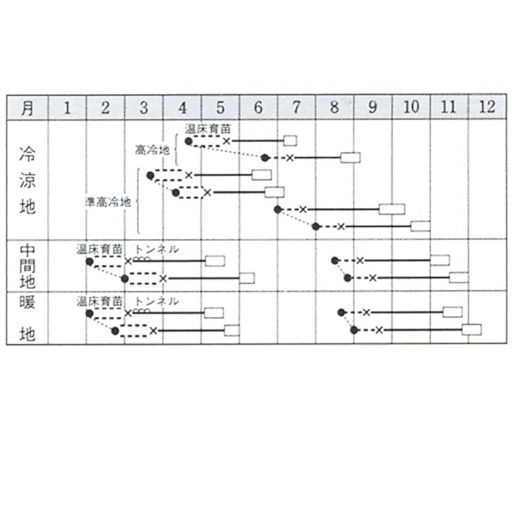 ̵�����(�ऽ��) ���������� 20ml ��� �ϥ����� �Ϥ������ڥ����� �� ���� ���ۡ͡��̾�5�� 5�ΤĤ����ϥݥ����10�ܡ�