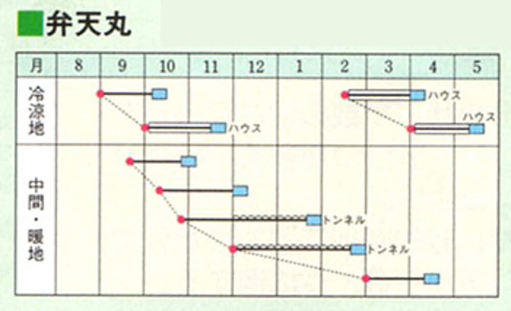 ��ŷ��ˡϡ��(���ܥץ饤��) ���������� AM3��γ30����R �ۤ������ ˡϡ�� �ۥ���󥽥� �ۤ���󤽤��ڥ����� �� ���� ���ۡ͡��̾�5�� 5�ΤĤ����ϥݥ����10�ܡ�
