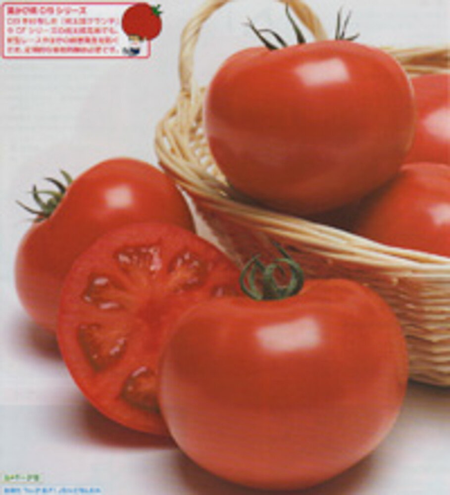 樂天商城 - 桃太郎グランデトマト タキイ交配 2L千粒1センR トマト とまと 蕃茄【タキイ 種 たね タネ】【通常5倍 5のつく日はポイント10倍】