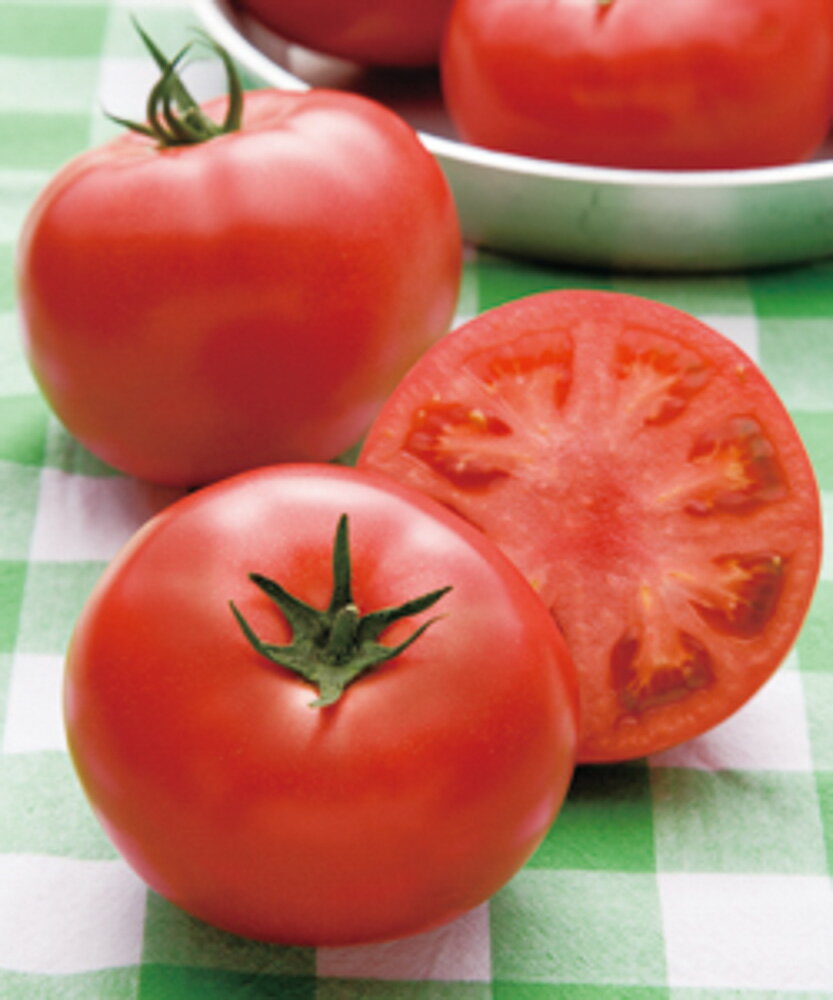 桃太郎ピーストマト タキイ交配 PVP 2L千粒1センR トマト とまと 蕃茄【タキイ 種 たね タネ】【通常5倍 5のつく日はポイント10倍】