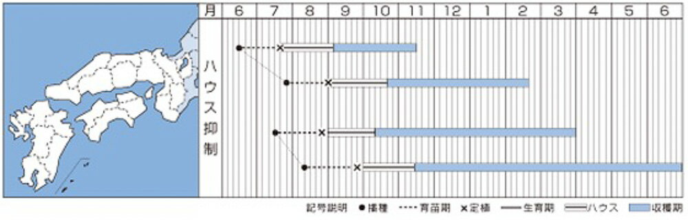 桃太郎ピーストマト タキイ交配 PVP 2L千粒1センR トマト とまと 蕃茄【タキイ 種 ...