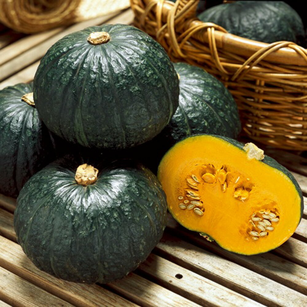ほっこり133南瓜 タキイ交配 500粒500R 南瓜 カボチャ かぼちゃ【タキイ 種 たね タネ】【通常5倍 5のつく日はポイント10倍】