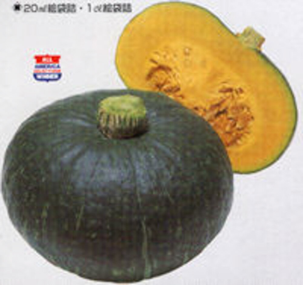 樂天商城 - つるなしやっこ南瓜 タキイ交配 100粒100R 南瓜 カボチャ かぼちゃ【タキイ 種 たね タネ】【通常5倍 5のつく日はポイント10倍】