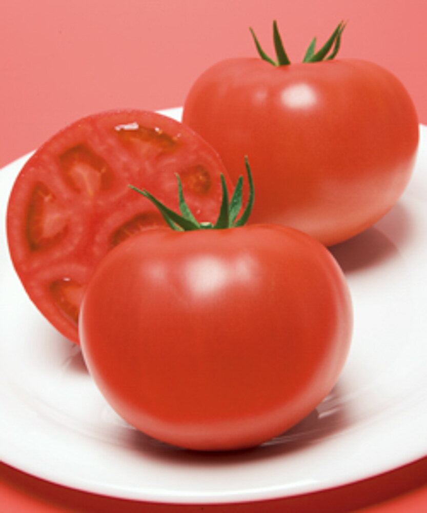 CF桃太郎Jトマト タキイ交配 PVP ペレット2000粒 トマト とまと 蕃茄【タキイ 種 たね タネ】【通常5倍 5のつく日はポイント10倍】