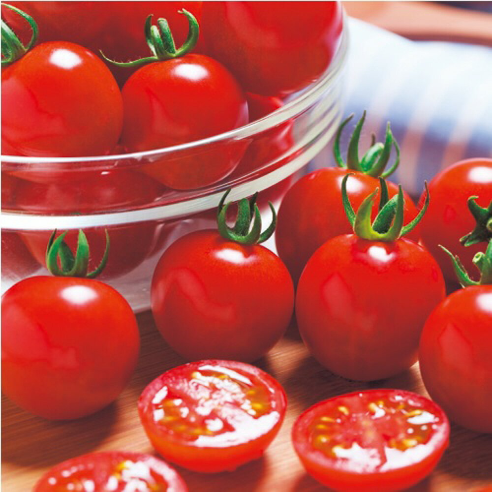 CF千果トマト タキイ交配 PVP 1センR1000粒 トマト とまと 蕃茄【タキイ 種 たね タネ】【通常5倍 5のつく日はポイント10倍】