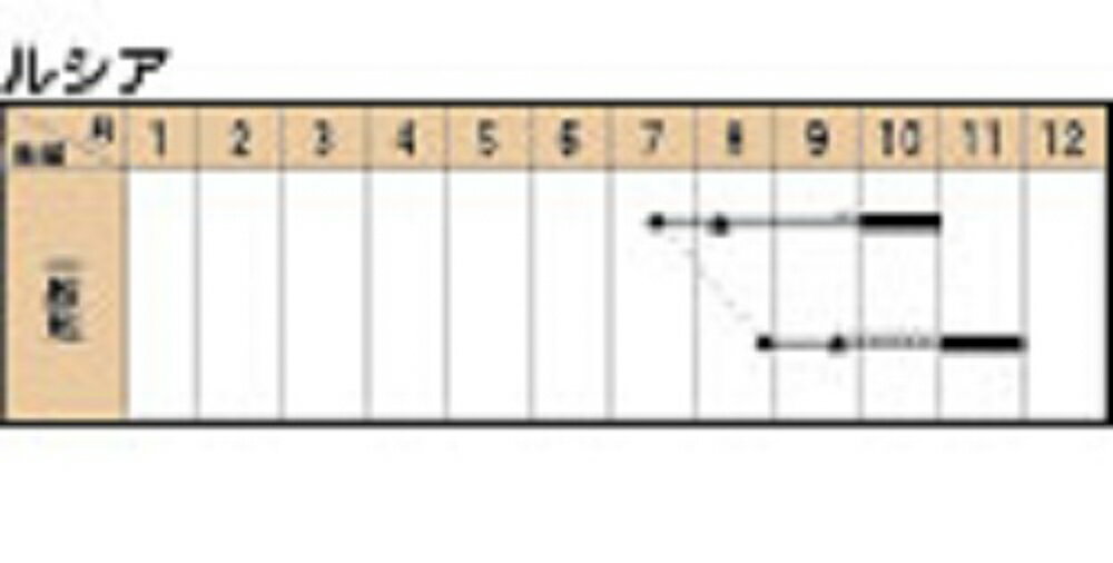 ヴァリエガト・ルシア ルシア TSGI-080 1000粒(Lコート) グストイタリア ダイヤ交...