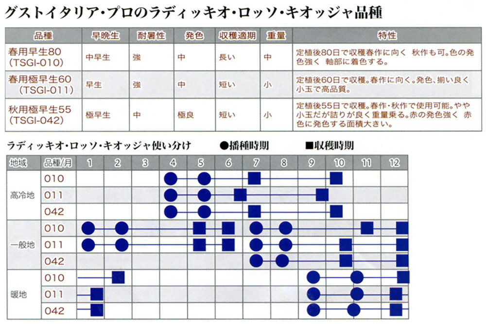 ヴァリエガト・ルシア ルシア TSGI-080 1000粒(Lコート) グストイタリア ダイヤ交...