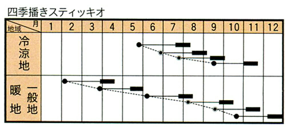 フィノッキオ 四季まきスティッキオ 15000粒 グストイタリア【トキタ 種 たね タネ...