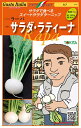イタリアカブ サラダ・ラティーナ 3万粒(生種) グストイタリア【トキタ 種 たね タネ】【通常5倍 5のつく日はポイント10倍】