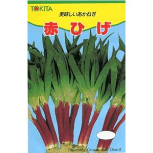 赤ひげ 2DL 葱 ネギ ねぎ【トキタ 種 たね タネ】【通常5倍 5のつく日はポイント10倍】