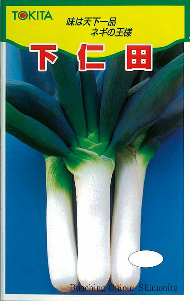 樂天商城 - 下仁田 1L 葱 ネギ ねぎ【トキタ 種 たね タネ】【通常5倍 5のつく日はポイント10倍】