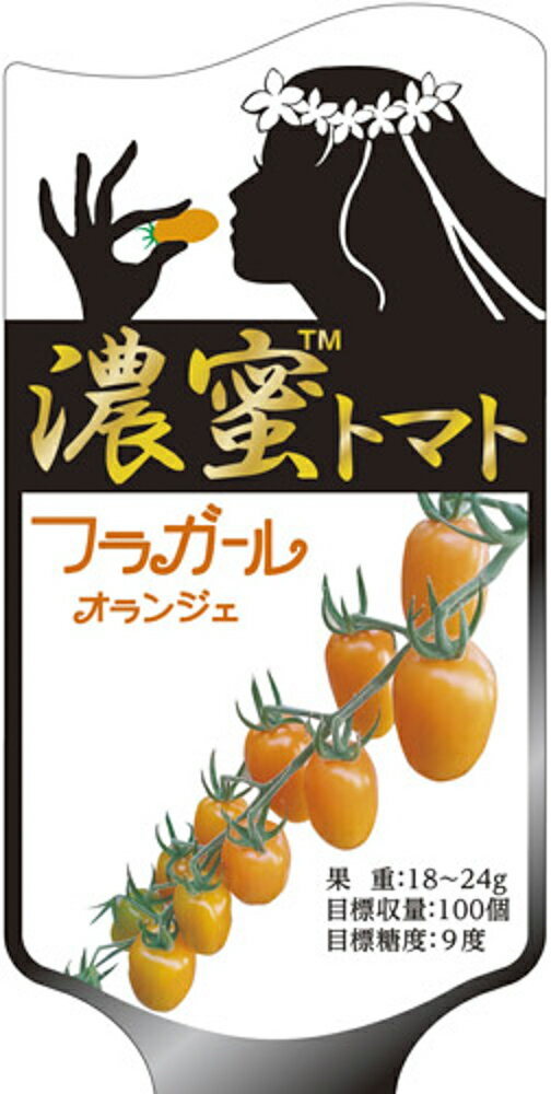 フラガールオランジェ 100粒 トマト とまと 蕃茄 ダイヤ交配 【トキタ 種 たね タ...